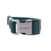Field Dog Collar